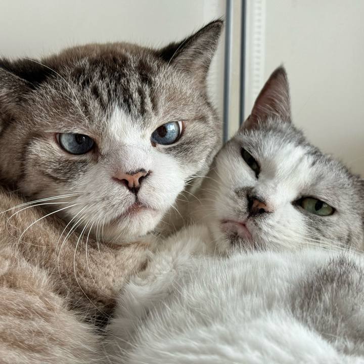 Cd248671 46b7 4aaa 939f de98f5954045 1727310729629