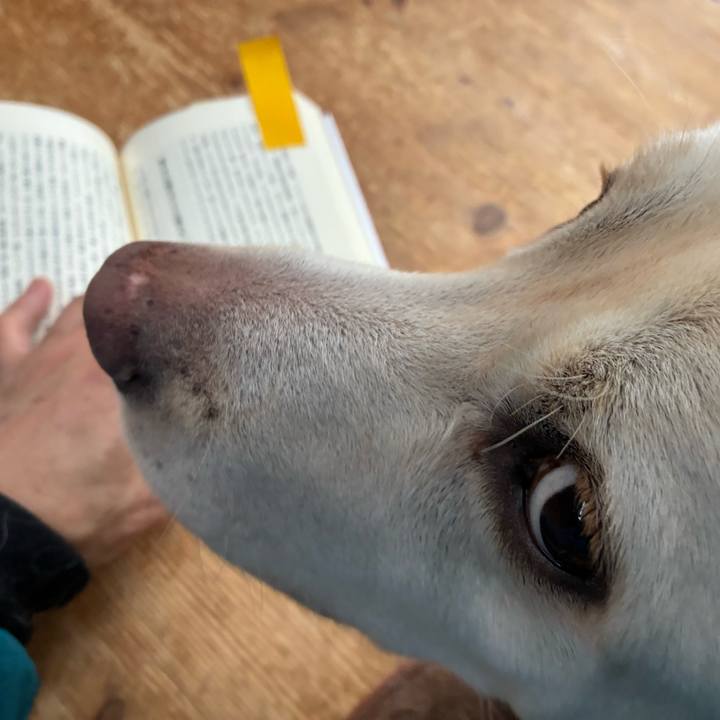 Cd24aaf2 3ce0 4b03 8e66 4164157d1d30 1766838990689