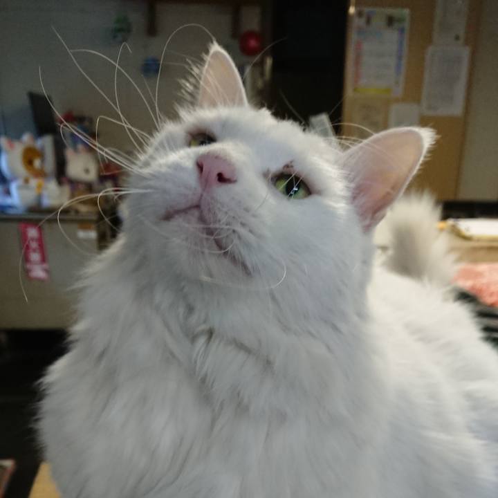 Cd24e5c9 9153 46fb 8d27 260103c8bfba 1541111197013