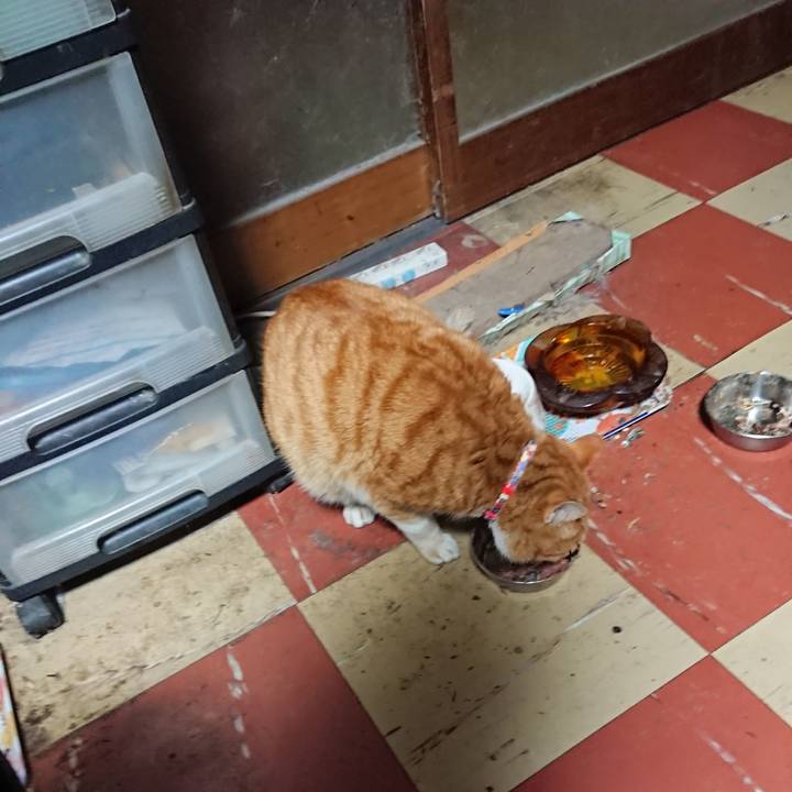 Cd24f299 02f5 4fb1 8c70 a8aeaf02ee2f 1578599742803