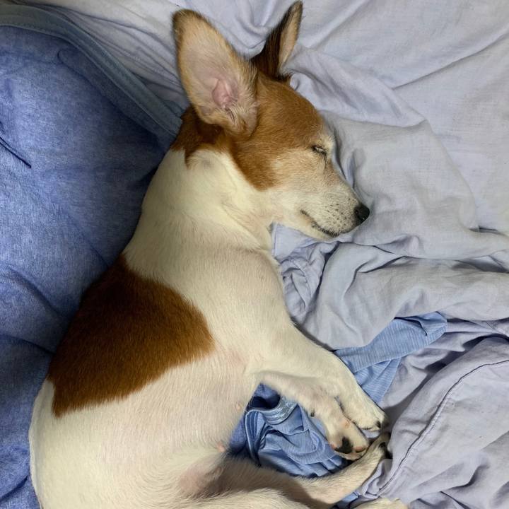 Cd2506de 2432 4003 a7d0 bad8026f2967 1571152286701