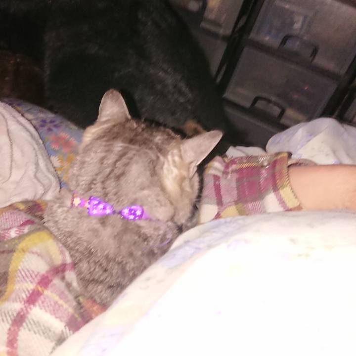 Cd25493c f360 496b bf00 0e5aa1ee299c 1589226389357