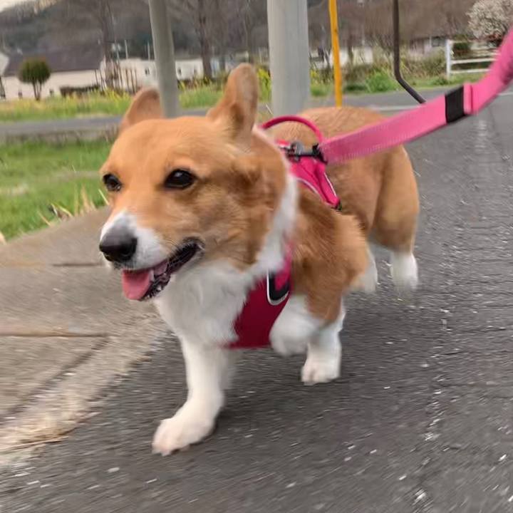 Cd2553c8 606a 460d b27f e246675b36ed 1648111732766