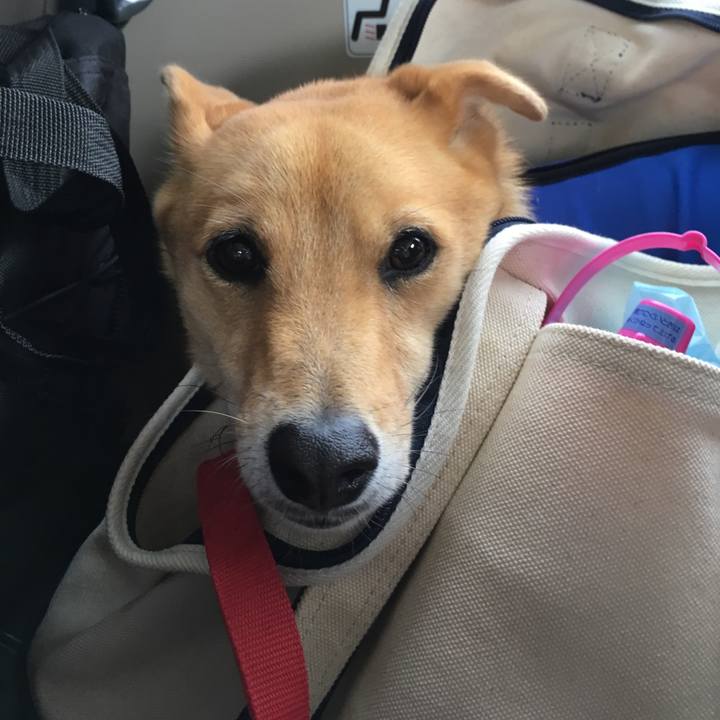 Cd255754 12c3 4ffd 9e60 e3cf42c31d73 1532509013917