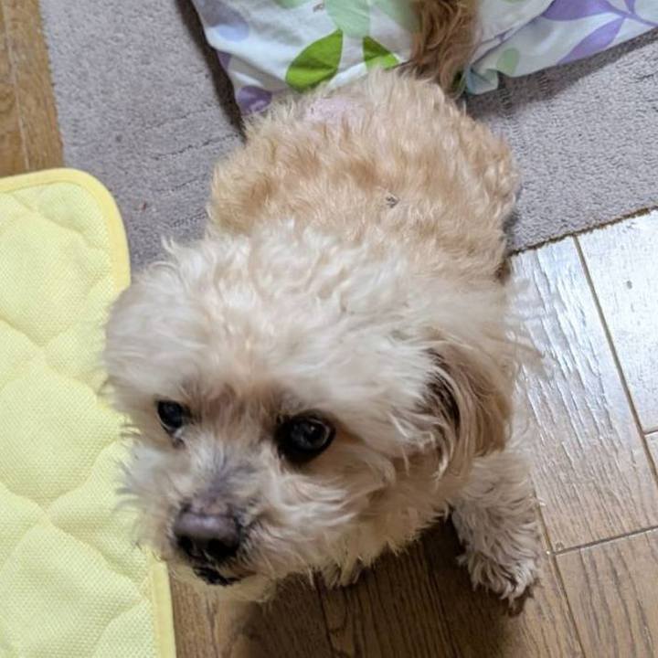 Cd257fb2 25a4 43ae 8e77 7a58760f0a95 1741317363301