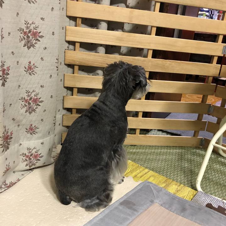 Cd258a32 efcc 4f1d a40e 5b20d544370f 1641903697892