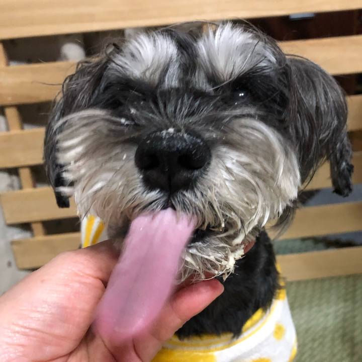 Cd25d03f fa96 49ee bfef c3ebfafdba26 1704549603947