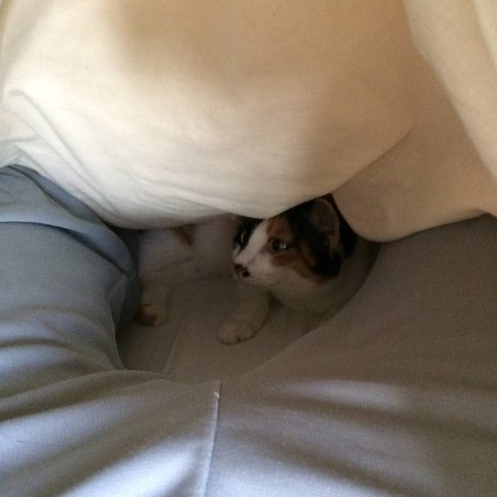 Cd25e011 89b1 45e0 baac a0527b3b2634 1545610140236