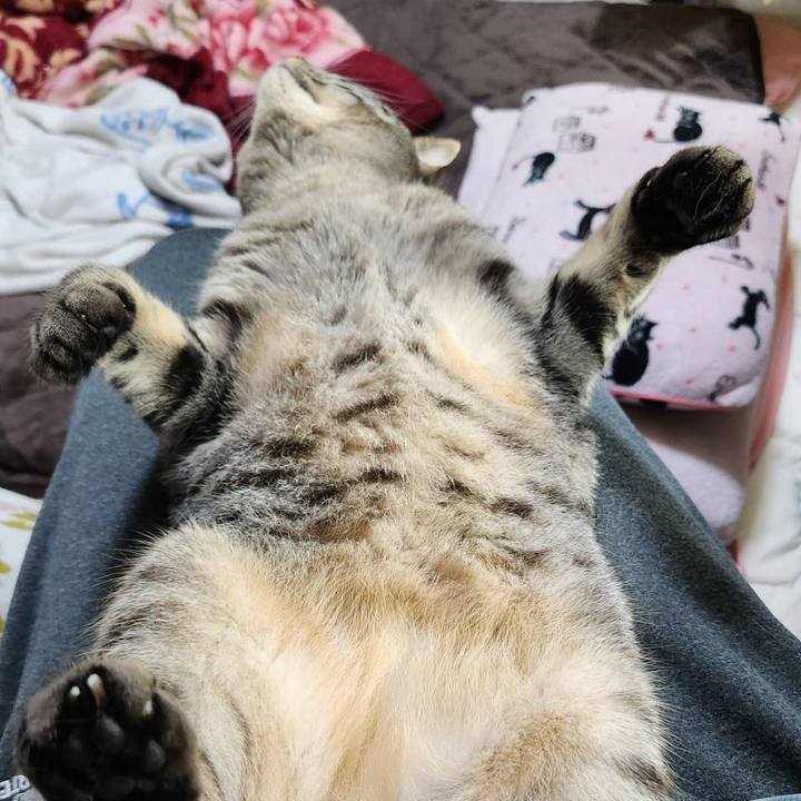 Cd260a7b 4fce 4da8 9fcf 8282ac7f155a 1722567547317