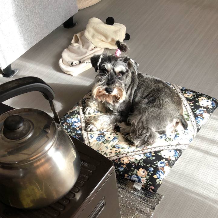 Cd26467b 1b14 4cab adc7 86e996f0891e 1579345818599