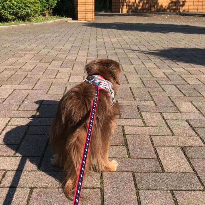 Cd265ad3 7098 4bc4 9cd1 c5e882389bc3 1529625357789