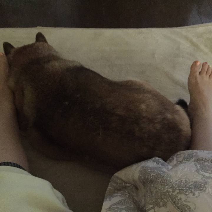 Cd26611d 6bdb 4150 ae4b 8e067f48c0c4 1562367359213