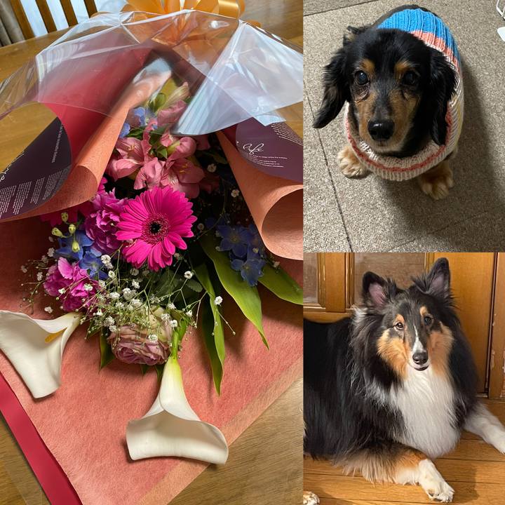 Cd269a35 e780 4ebd 92cb 83e47b5671cd 1616885679831