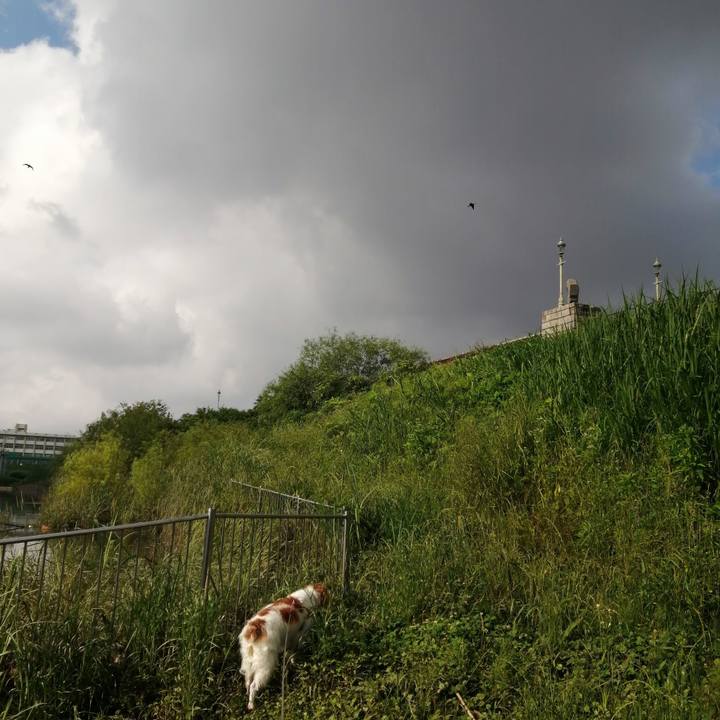 Cd26a82b b7ba 4aa8 add4 71a440ea0661 1621900749079