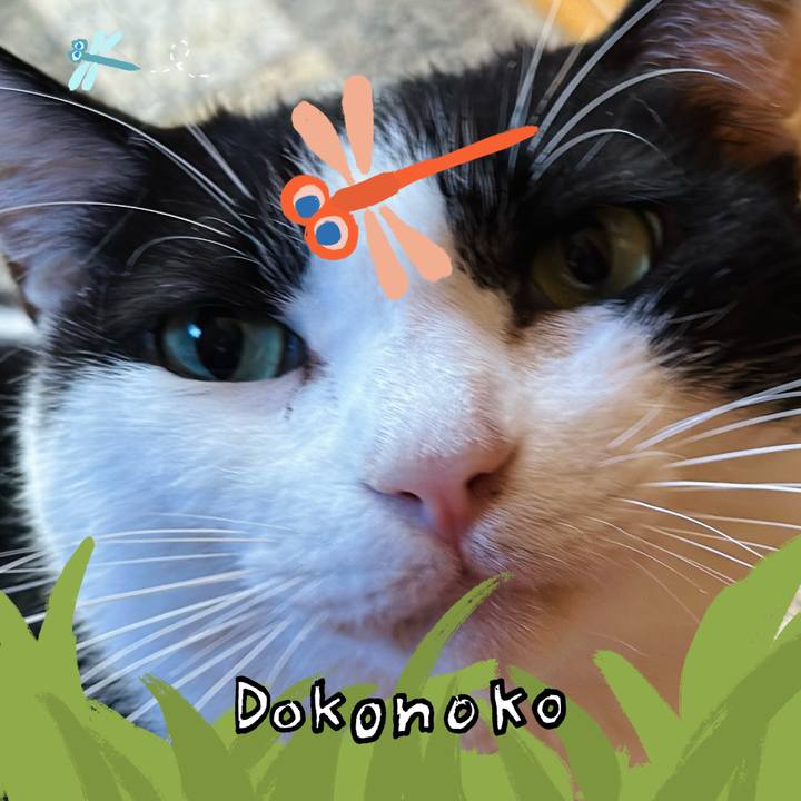 Cd26b67a dddc 4953 af6c 40242f2320de 1726880794466