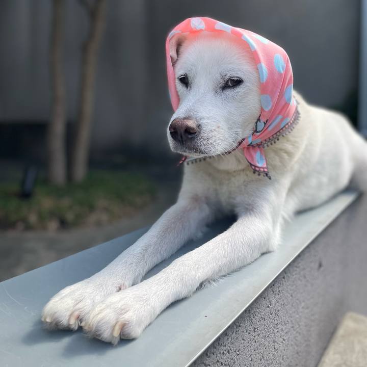 Cd26db9d 765c 4158 b80c 515de949c529 1728444711889