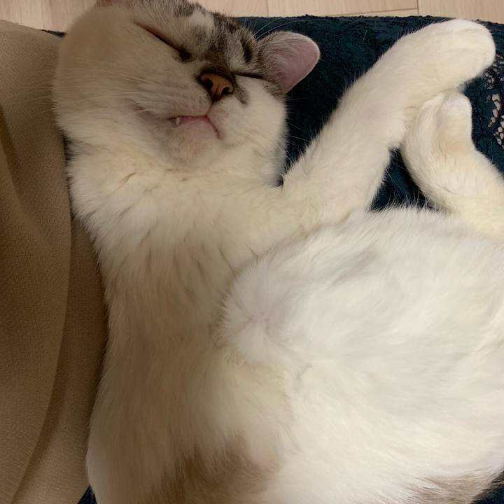 Cd2703d3 871a 4c5d a8f7 70a1ecb88d56 1567603225134