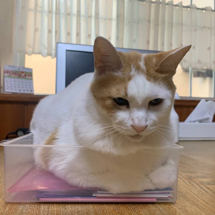 Cd271c6f b277 44d9 b0af 4630c2a6638f 1653771745642