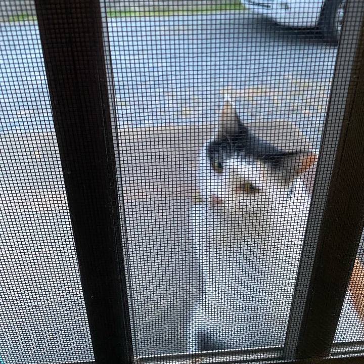 Cd271f15 3b02 40b4 a004 084d1f47995e 1640038938442