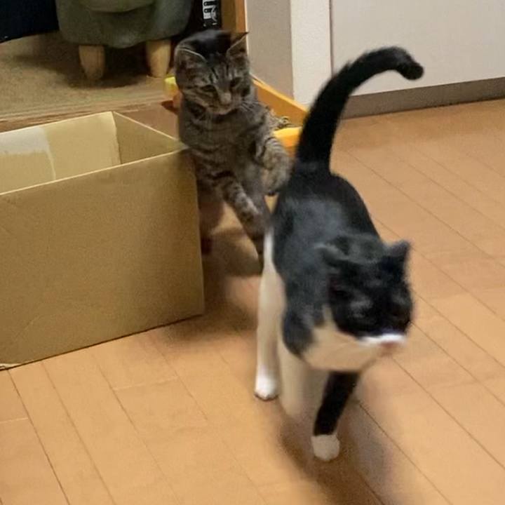 Cd276bb9 43c1 4266 b31b aa9b3bc801fd 1674446074850