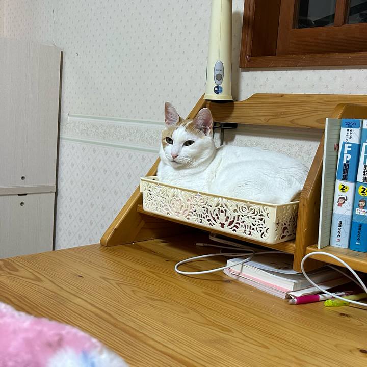 Cd278600 f18f 4e1a 9872 57af968779d4 1676631700655