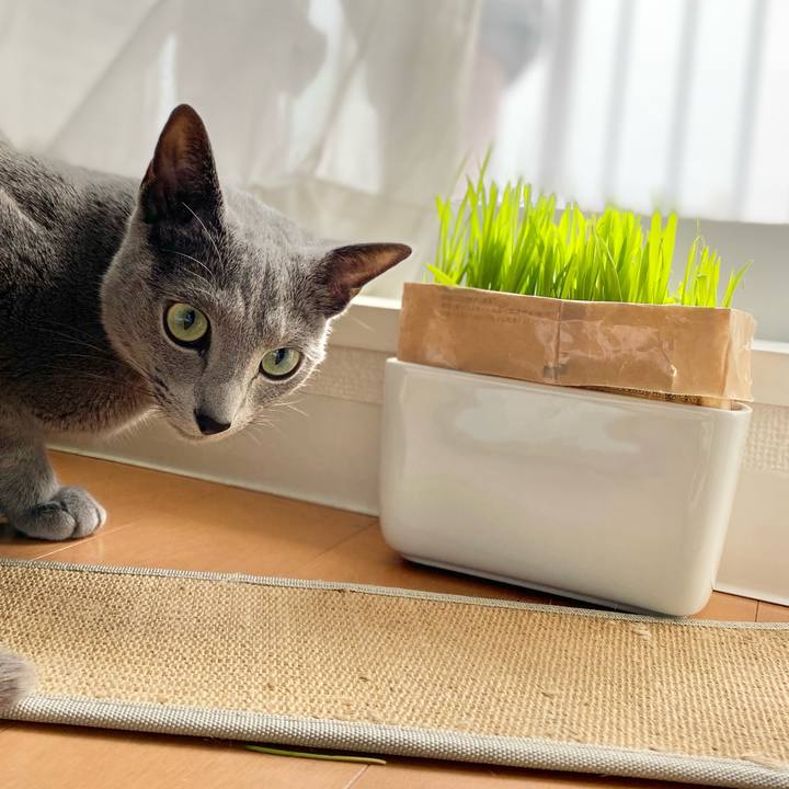 Cd27a7cb e35f 41f7 aed1 08c902121cec 1652578810670