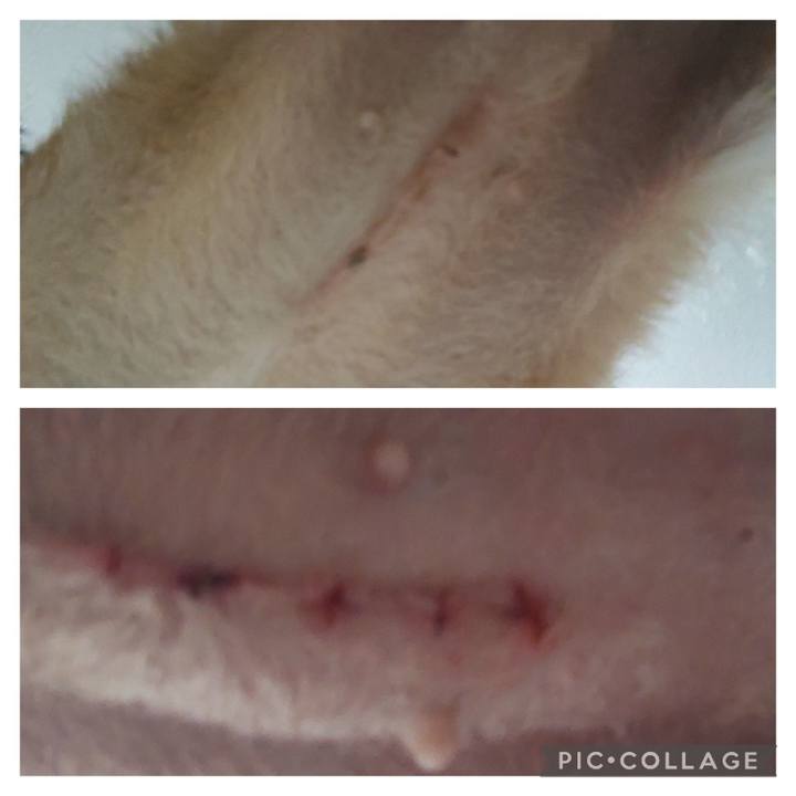 Cd27ce89 ec44 4126 9bad 4dbb47383d24 1706688739742