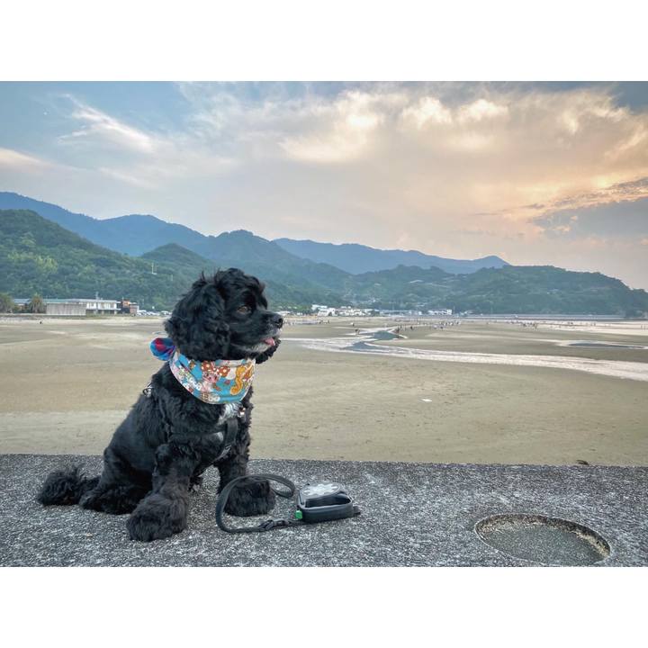 Cd280681 53da 48d5 97df 79a4f8be3b7b 1598251005719