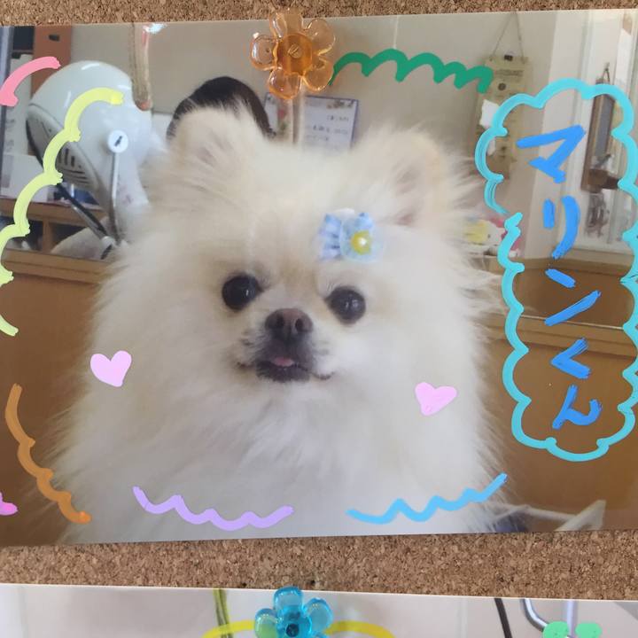 Cd28157d 4d49 40dc b785 4ae15fc9dd2a 1560417104724