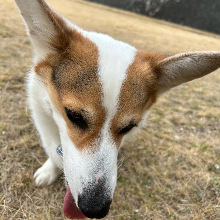 Cd2822f9 64a4 426f a9a6 cfd4a7b65654 1771903368898