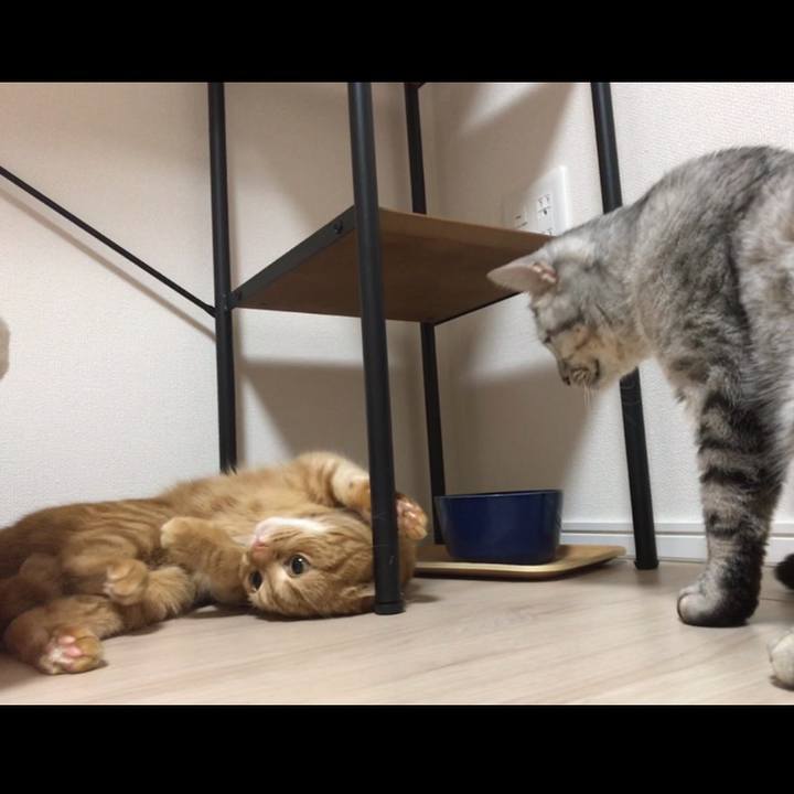 Cd283050 0a6e 46c5 95a2 4818ddb0ddbb 1517526758258