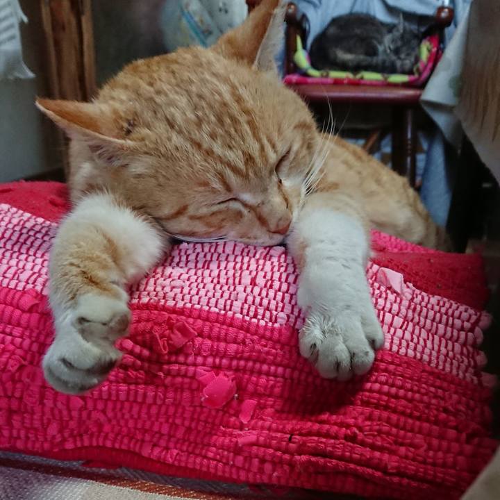 Cd289edf c299 43d7 9518 f5884b985944 1554618786711