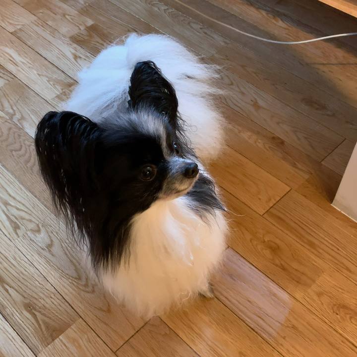 Cd28aff3 f5bc 421c 863e c24b7b7e6fa8 1563746475266