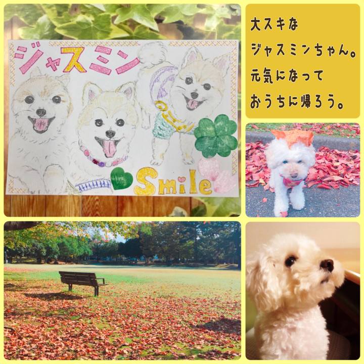 Cd291c08 232a 4b03 8e27 2d3573e8fb6e 1509759953323