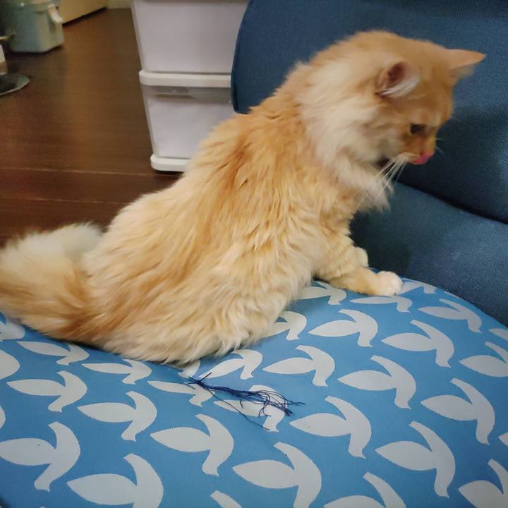 Cd2966dd 6178 432f abcc 182dda2b3993 1705848916585