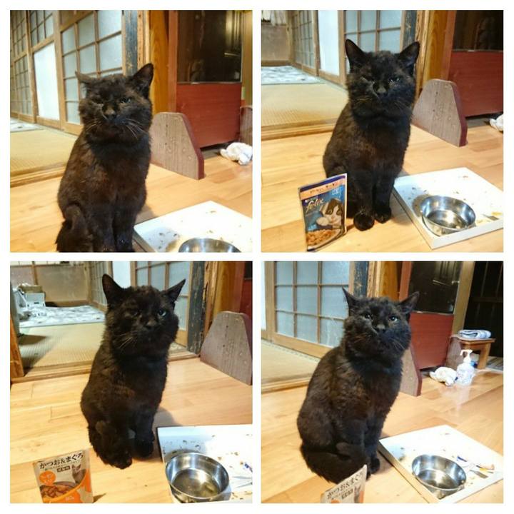 Cd29ae90 38ca 4aa6 8e0b 5dcf7e463fd0 1621429107482