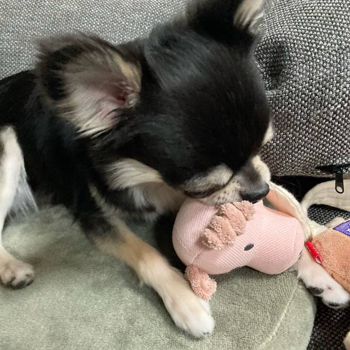 Cd29b471 55d5 4801 8d25 fcaf1b2bda1f 1618753587094