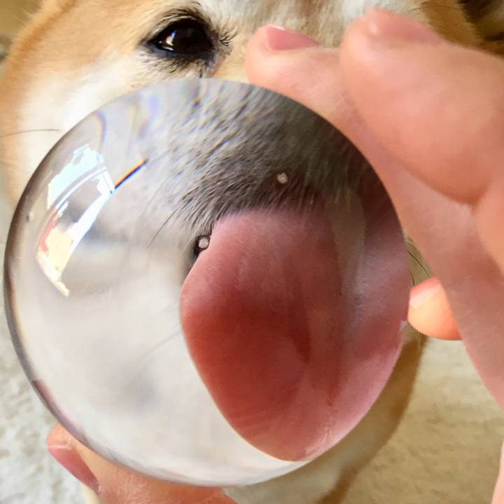 Cd29cda0 6092 4de1 bfc3 16d9c242002e 1555507631480