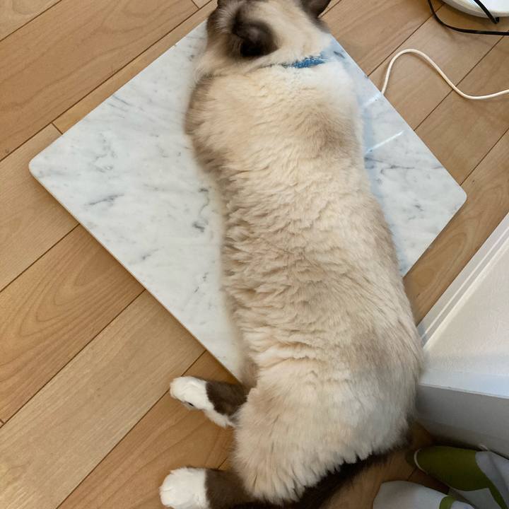 Cd29ea9b 2513 4fce a4e7 d5ec9bf4e7c1 1597048040235