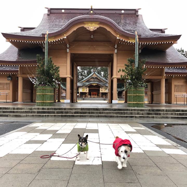 Cd2a0cef b7f3 448e 9883 fa63adbb1539 1578442946706