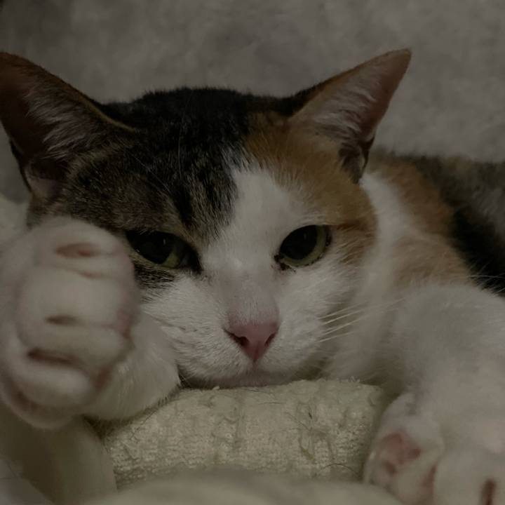 Cd2a5d27 b491 4c3e 881b 7d83e8fd89ac 1615206266367