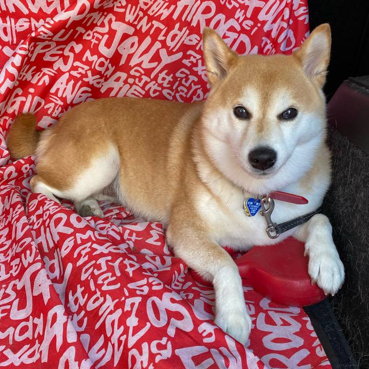 Cd2aa441 8172 4aba b618 4bb3cd6112a6 1626733287752