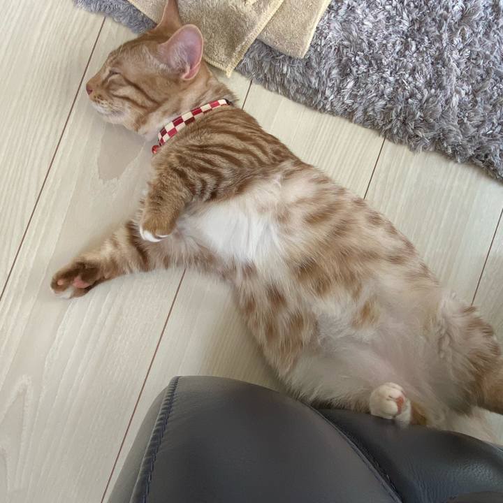 Cd2ab7da c376 4a2f a2df b89774ced8cc 1597802395703