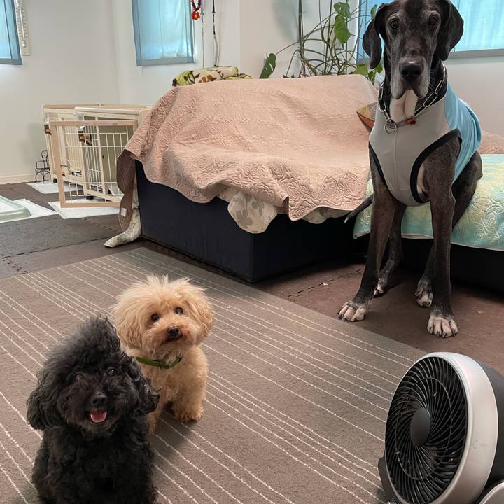 Cd2acccb ab0a 4080 b8ec d6afb98138a2 1628117735499