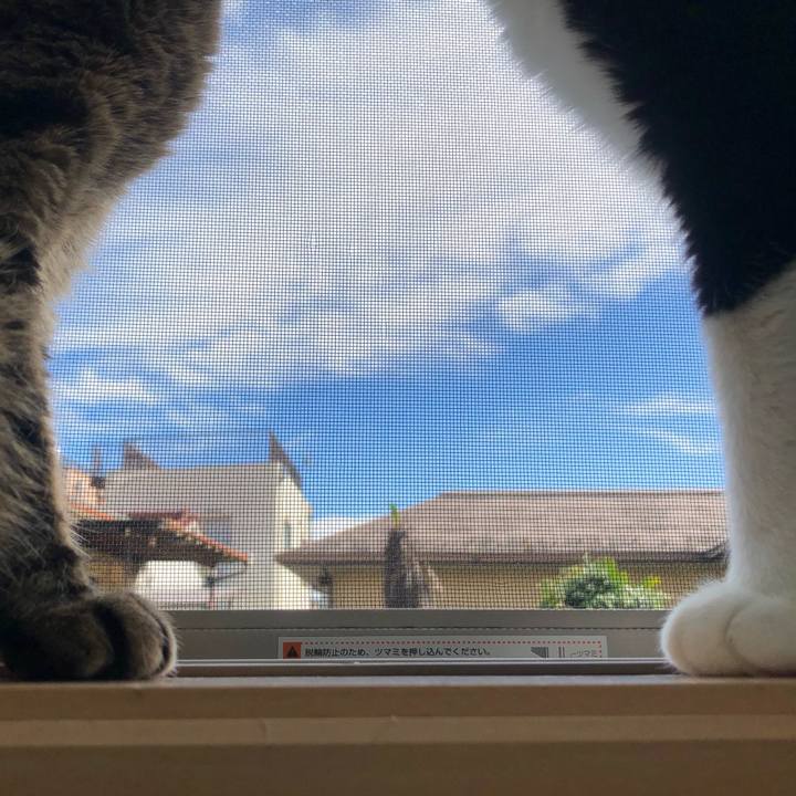 Cd2adb85 f9a7 430f 8a4c 87de15ba90de 1603019494337