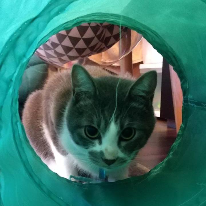 Cd2aef0b 377b 49c9 ab16 652855dd92d5 1626905893366