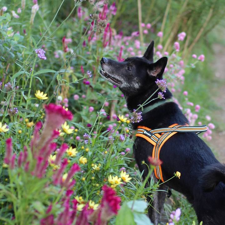 Cd2af6ff fc61 466b bd23 8da10578ab9c 1603771317279