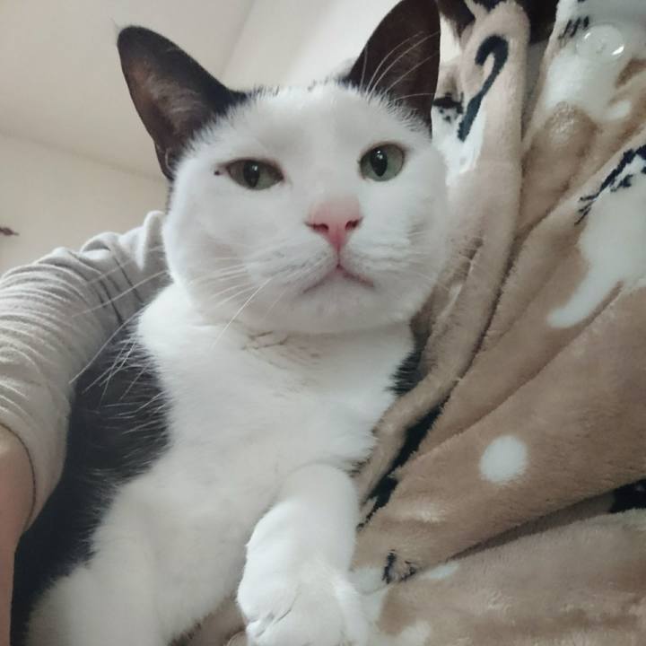 Cd2b240d 29ee 4350 8d7e 96c08b7d518f 1516324016017