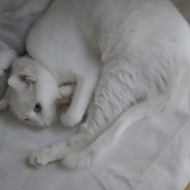 Cd2b3998 5965 4d57 bb95 ab4eb4851d1e 1630468318410