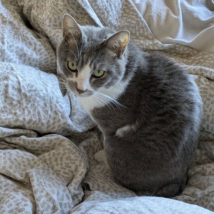 Cd2b4b72 388d 42f1 9dc0 d5b38b912a9b 1734142553807